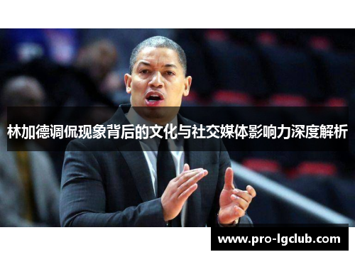 林加德调侃现象背后的文化与社交媒体影响力深度解析