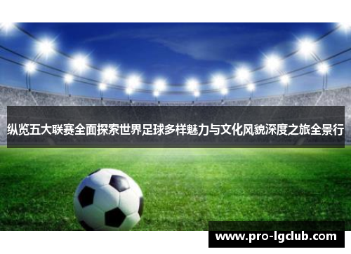 纵览五大联赛全面探索世界足球多样魅力与文化风貌深度之旅全景行