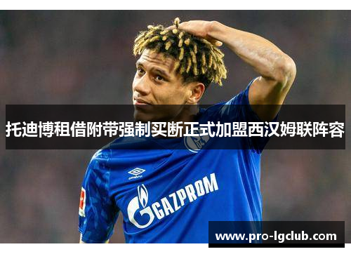 托迪博租借附带强制买断正式加盟西汉姆联阵容