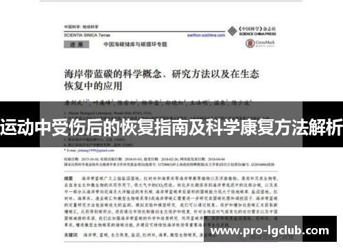 运动中受伤后的恢复指南及科学康复方法解析